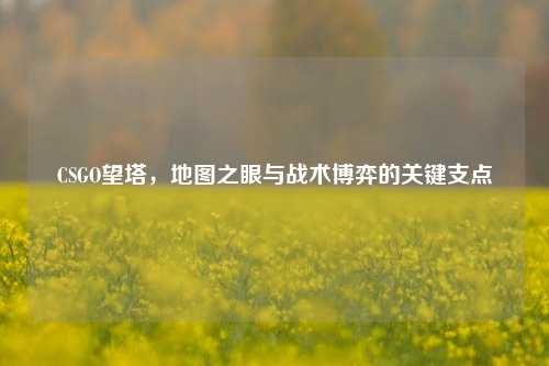 CSGO望塔,地图之眼与战术博弈的关键支点