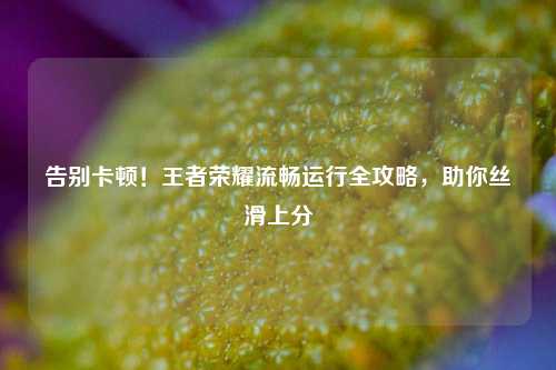 告别卡顿!王者荣耀流畅运行全攻略,助你丝滑上分
