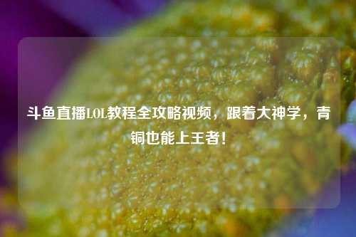 斗鱼直播LOL教程全攻略视频,跟着大神学,青铜也能上王者!