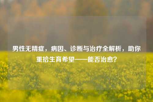 男性无精症,病因、诊断与治疗全解析,助你重拾生育希望——能否治愈?