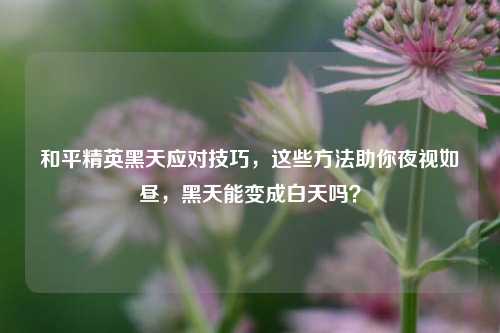 和平精英黑天应对技巧,这些 *** 助你夜视如昼,黑天能变成白天吗?