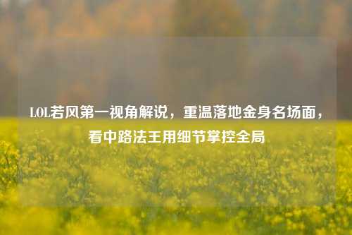 LOL若风之一视角解说,重温落地金身名场面,看中路法王用细节掌控全局