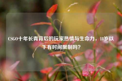 CSGO十年长青背后的玩家热情与生命力,18岁以下有时间限制吗?