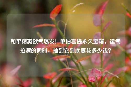 和平精英欧气爆发!单抽喜提永久宝箱,运气拉满的同时,抽到它到底要花多少钱?