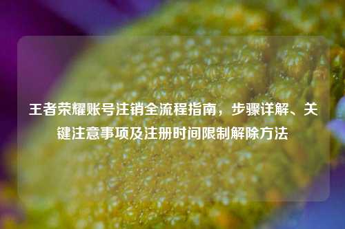 王者荣耀账号注销全流程指南,步骤详解、关键注意事项及注册时间限制解除 ***
