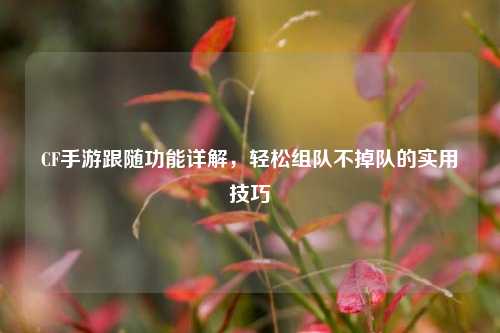CF手游跟随功能详解,轻松组队不掉队的实用技巧