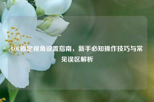 LOL锁定视角设置指南,新手必知操作技巧与常见误区解析