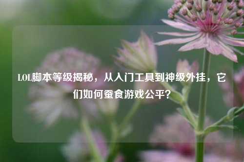 LOL脚本等级揭秘,从入门工具到神级外挂,它们如何蚕食游戏公平?