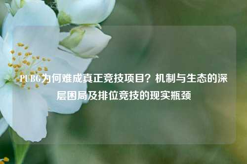 PUBG为何难成真正竞技项目?机制与生态的深层困局及排位竞技的现实瓶颈