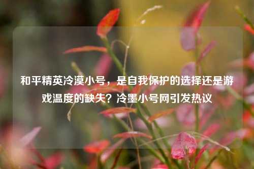 和平精英冷漠小号,是自我保护的选择还是游戏温度的缺失?冷墨小号网引发热议