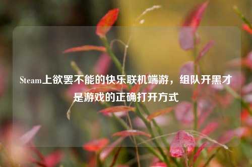 Steam上欲罢不能的快乐联机端游,组队开黑才是游戏的正确打开方式