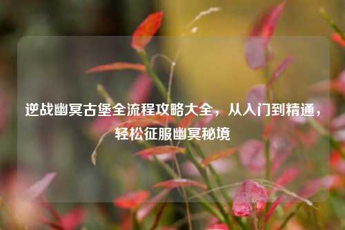 逆战幽冥古堡全流程攻略大全,从入门到精通,轻松征服幽冥秘境