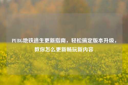 PUBG地铁逃生更新指南,轻松搞定版本升级,教你怎么更新畅玩新内容