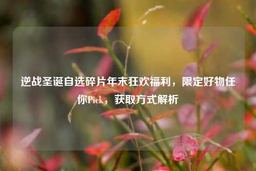 逆战圣诞自选碎片年末狂欢福利,限定好物任你Pick,获取方式解析
