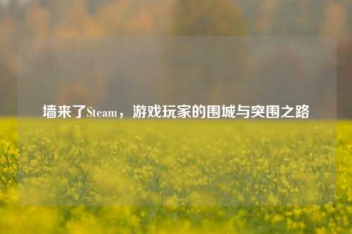 墙来了Steam,游戏玩家的围城与突围之路