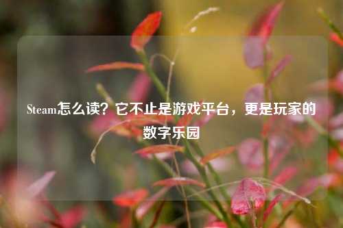 Steam怎么读?它不止是游戏平台,更是玩家的数字乐园