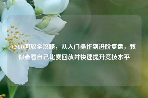 CSGO回放全攻略,从入门操作到进阶复盘,教你查看自己比赛回放并快速提升竞技水平