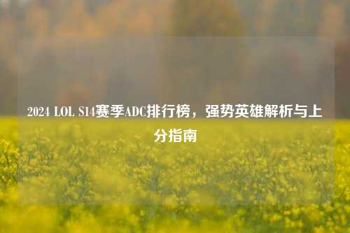 2024 LOL S14赛季ADC排行榜,强势英雄解析与上分指南