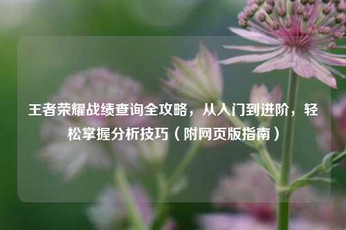 王者荣耀战绩查询全攻略,从入门到进阶,轻松掌握分析技巧(附网页版指南)