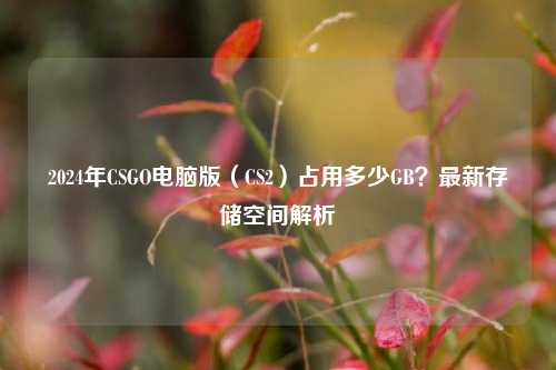 2024年CSGO电脑版(CS2)占用多少GB?最新存储空间解析