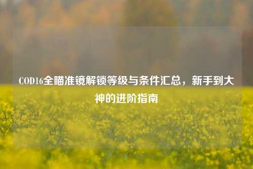 COD16全瞄准镜解锁等级与条件汇总,新手到大神的进阶指南