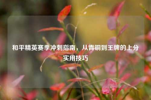 和平精英赛季冲刺指南,从青铜到王牌的上分实用技巧