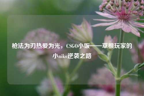 枪法为刃热爱为光,CSGO小饭——草根玩家的小niko逆袭之路