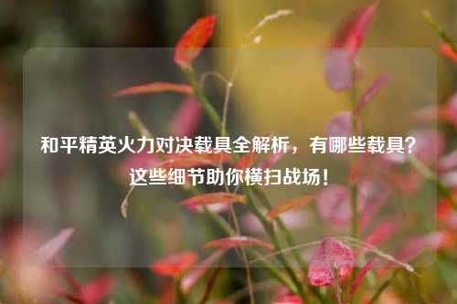 和平精英火力对决载具全解析,有哪些载具?这些细节助你横扫战场!