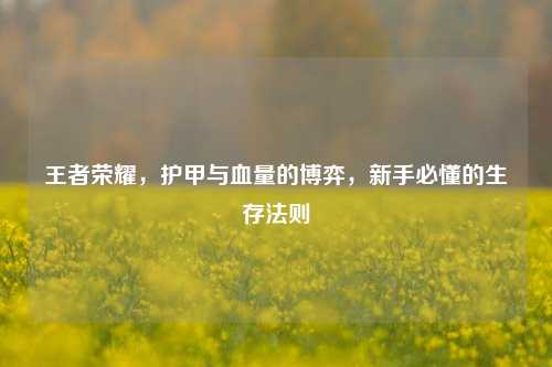 王者荣耀,护甲与血量的博弈,新手必懂的生存法则