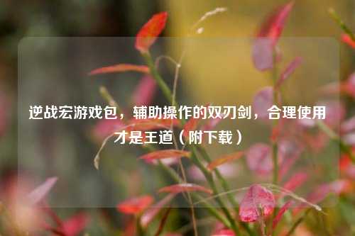 逆战宏游戏包,辅助操作的双刃剑,合理使用才是王道(附下载)