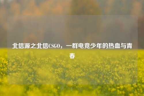 北信源之北信CSGO,一群电竞少年的热血与青春