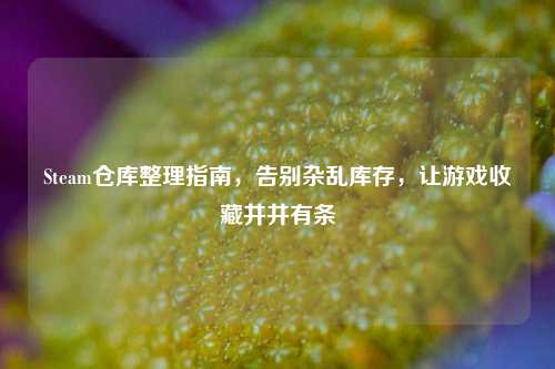 Steam仓库整理指南,告别杂乱库存,让游戏收藏井井有条