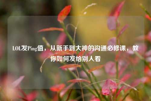 LOL发Ping值,从新手到大神的沟通必修课,教你如何发给别人看