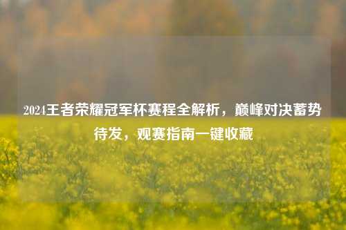 2024王者荣耀冠军杯赛程全解析,巅峰对决蓄势待发,观赛指南一键收藏