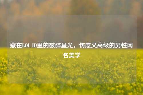 藏在LOL ID里的破碎星光,伤感又高级的男性网名美学