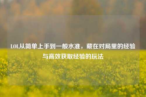 LOL从简单上手到一般水准,藏在对局里的经验与高效获取经验的玩法