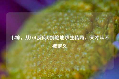 韦神,从LOL反向Q到绝地求生传奇,天才从不被定义