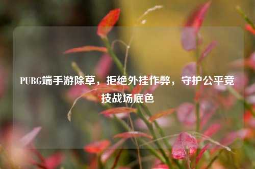 PUBG端手游除草,拒绝外挂作弊,守护公平竞技战场底色