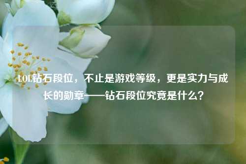 LOL钻石段位,不止是游戏等级,更是实力与成长的勋章——钻石段位究竟是什么?