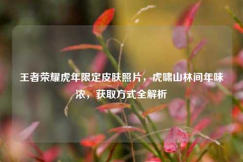 王者荣耀虎年限定皮肤照片,虎啸山林间年味浓,获取方式全解析