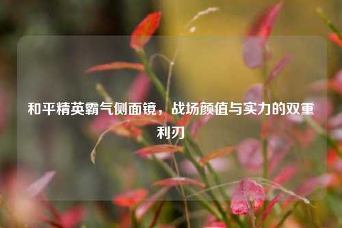 和平精英霸气侧面镜,战场颜值与实力的双重利刃