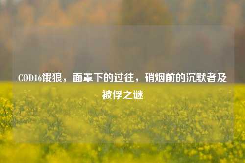 COD16饿狼,面罩下的过往,硝烟前的沉默者及被俘之谜