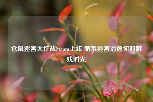 仓鼠迷宫大作战Steam上线 萌系迷宫治愈你的游戏时光