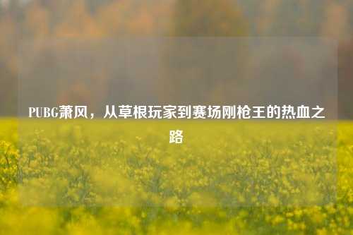 PUBG萧风,从草根玩家到赛场刚枪王的热血之路