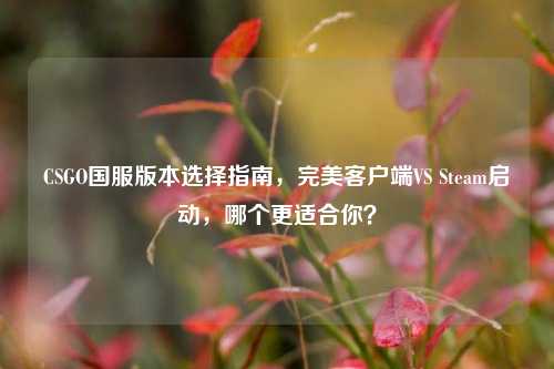 CSGO国服版本选择指南,完美客户端VS Steam启动,哪个更适合你?