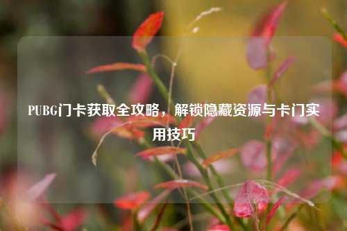 PUBG门卡获取全攻略,解锁隐藏资源与卡门实用技巧