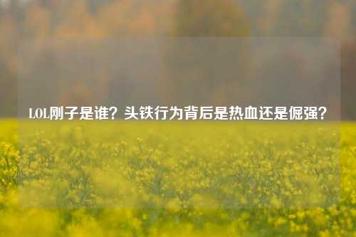 LOL刚子是谁?头铁行为背后是热血还是倔强?