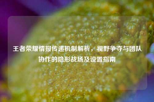 王者荣耀情报传递机制解析,视野争夺与团队协作的隐形战场及设置指南