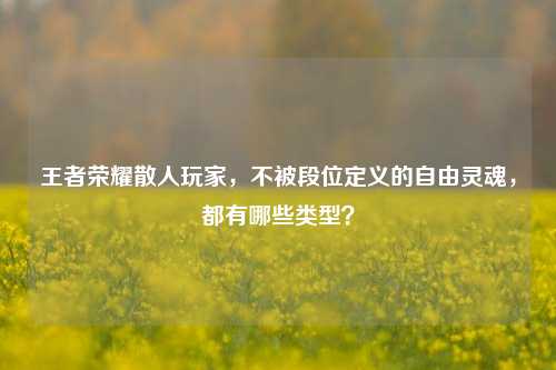 王者荣耀散人玩家,不被段位定义的自由灵魂,都有哪些类型?