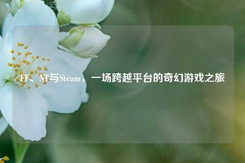 FF、NT与Steam,一场跨越平台的奇幻游戏之旅